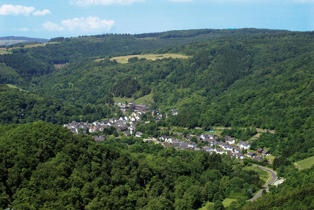 Landhotel Weinhaus Treis Weinähr Eksteriør bilde